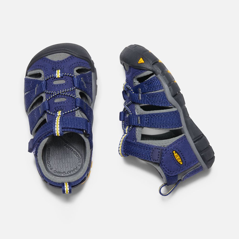 Sandalias Keen Mexico Azules/Grises - Niños Seacamp Ii Cnx - LC3549867